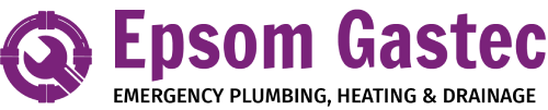 Epsom Gastec site logo
